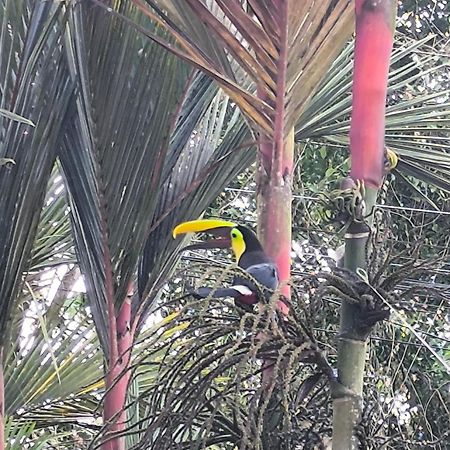 Appartamento Casa Sol Sarapiquí Esterno foto